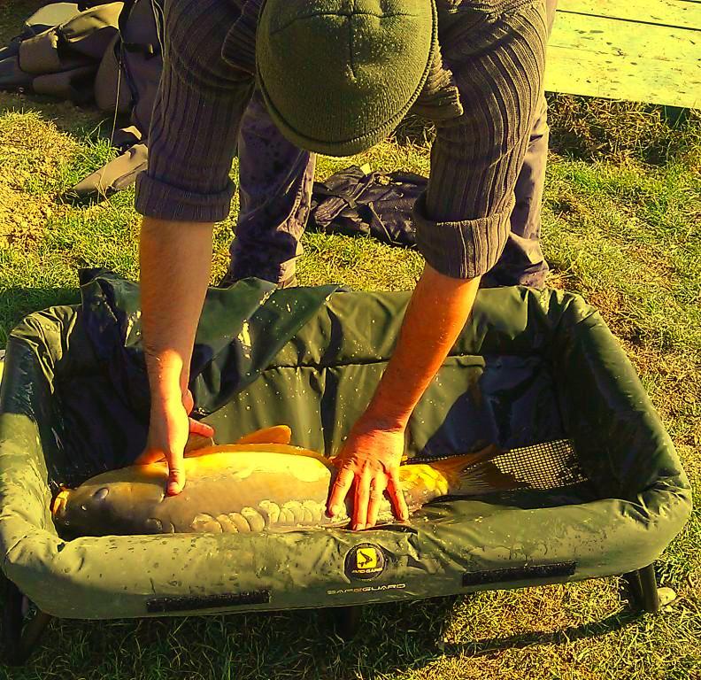 Moara Vlasiei 2 29 - 29 oct. - wp20131029010.jpg